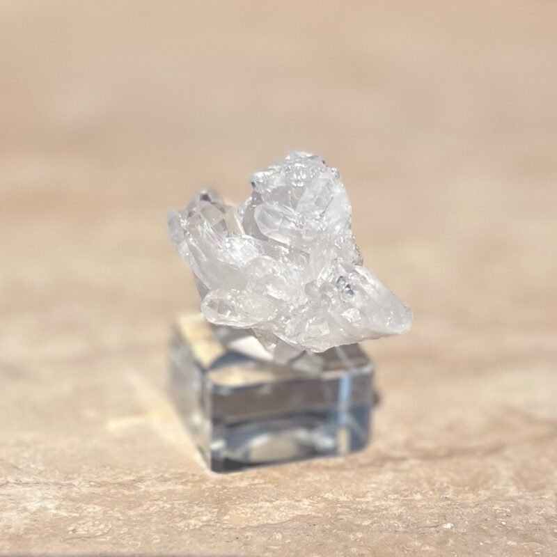 Tiny Rabbit ✧ Clear Quartz Cluster - Image 2