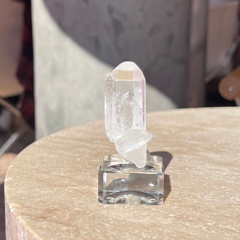 Tiny Rabbit ✧ Point Clear Quartz