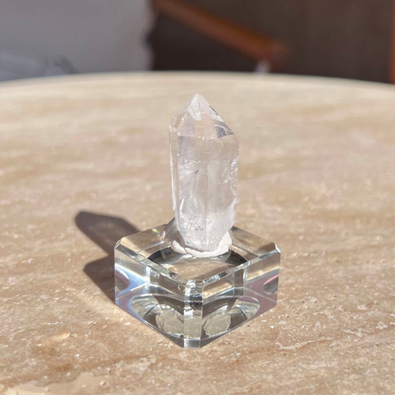 Tiny Rabbit ✧ Point Clear Quartz
