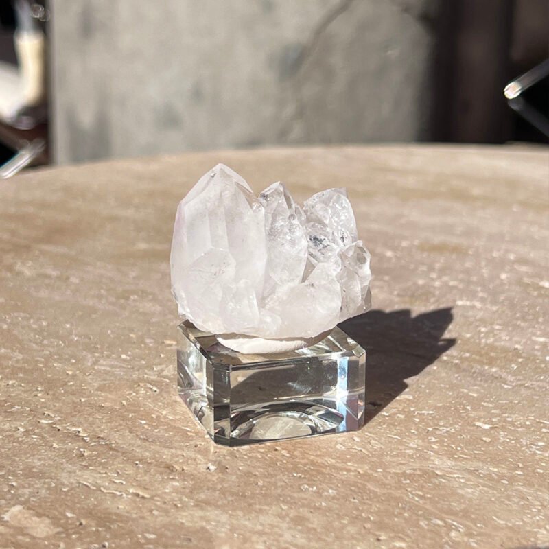 Tiny Rabbit ✧ Clear Quartz Cluster