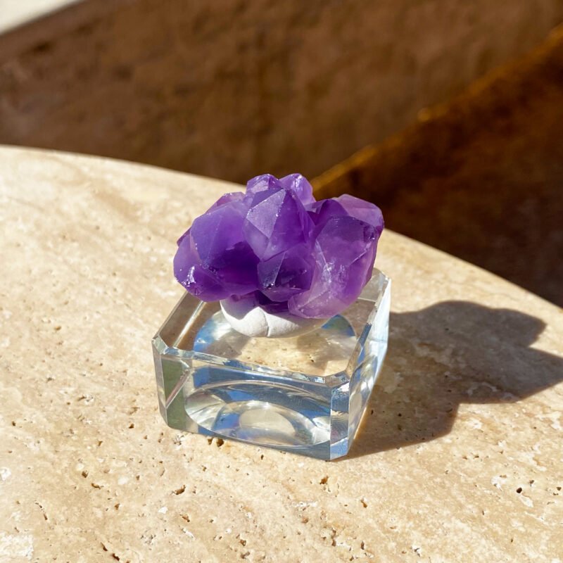 Tiny Rabbit ✧ Clear Quartz Cluster