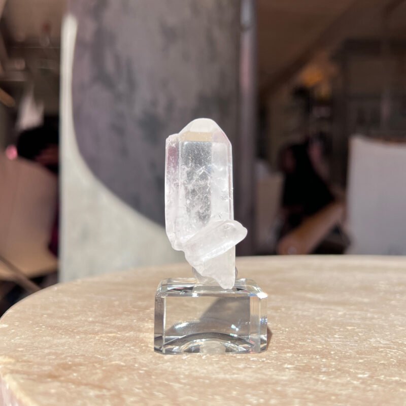 Tiny Rabbit ✧ Point Clear Quartz - Image 2