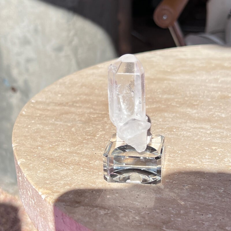 Tiny Rabbit ✧ Point Clear Quartz - Image 3