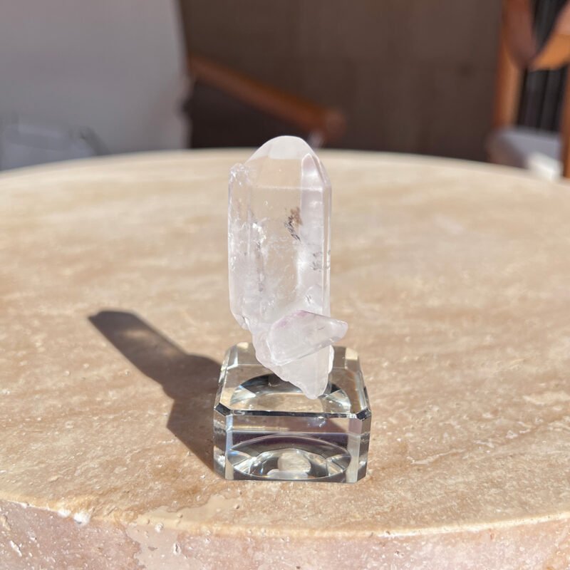 Tiny Rabbit ✧ Point Clear Quartz - Image 4
