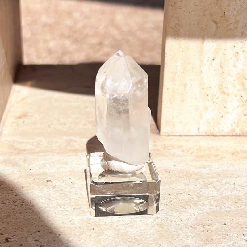 Tiny Rabbit ✧ Point Clear Quartz