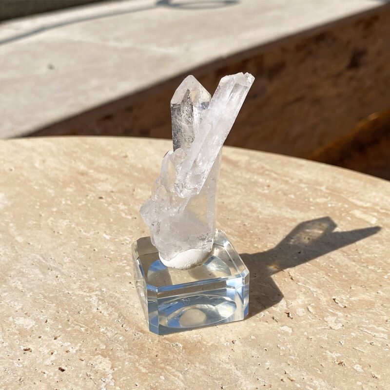 Tiny Rabbit ✧ Twin Clear Quartz