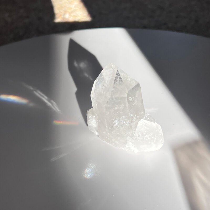 Tiny Rabbit ✧ Clear Quartz Cluster