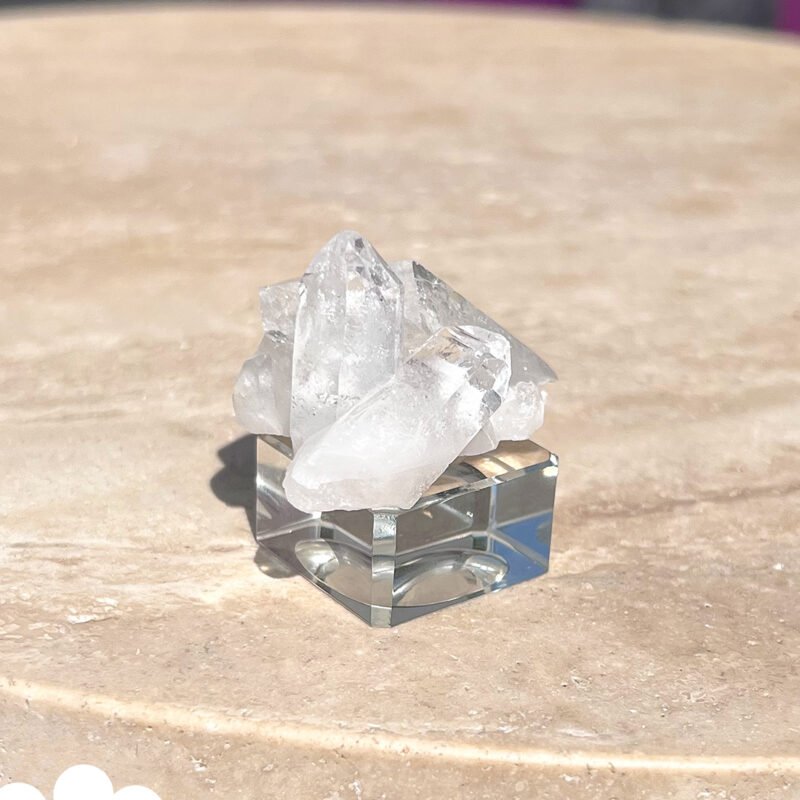 Tiny Rabbit ✧ Clear Quartz Cluster - Image 2