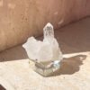 Tiny Rabbit ✧ Clear Quartz Cluster - Image 3